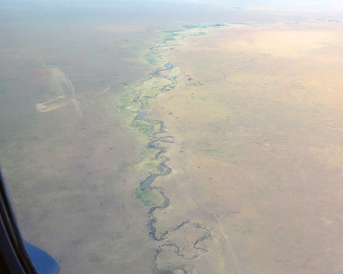 View from the air of the Mara River in the Serengeti