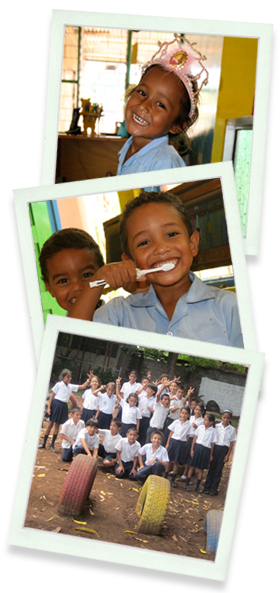 Safari Surf School