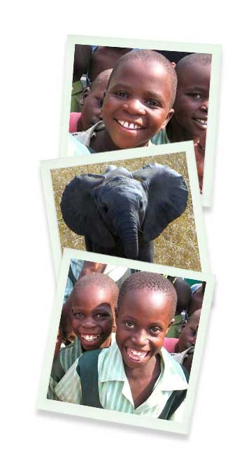 John Stevens Guided Safaris Africa