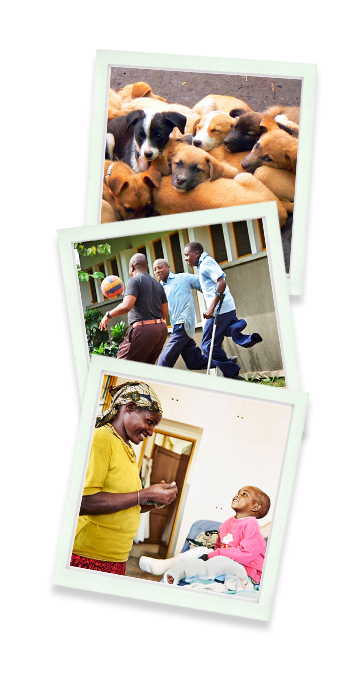 African View Lodges