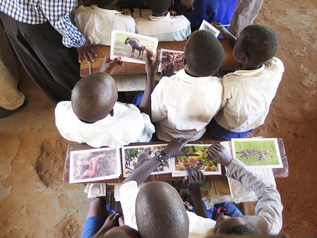 Students sorting cards